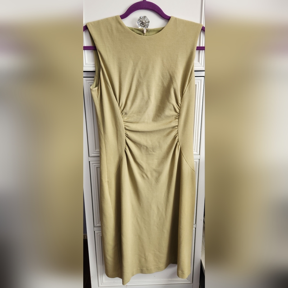 Talbots Ruched Sleeveless Dress Size 8P